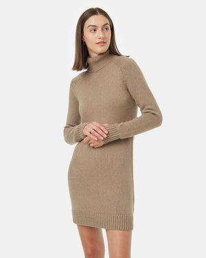 Brown-Women_s-Turtleneck-Sweater-Dress