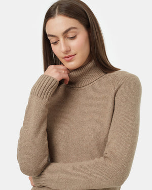 Brown-Women_s-Turtleneck-Sweater-Dress