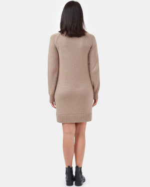 Brown Women's Turtleneck Sweater Dress