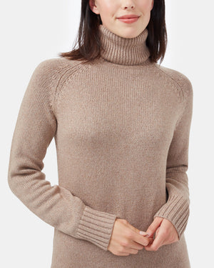 Brown Women's Turtleneck Sweater Dress