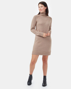 Brown Women's Turtleneck Sweater Dress