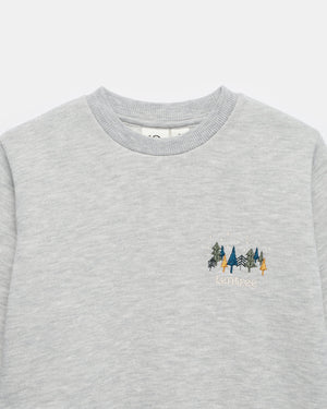 Gray Kids Graphic Crew Neck Sweatshirt