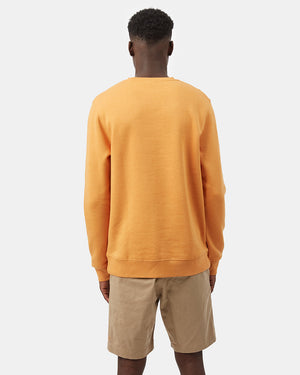 Orange Men's Eco-Friendly Pullover