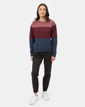 Purple Women's Eco-Friendly Stripe Pullover