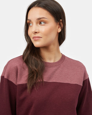 Purple Women's Eco-Friendly Stripe Pullover