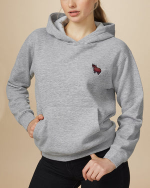 Gray Embroidered Graphic Pullover Hoodie