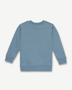 Kids Organic Cotton Fleece Sweatshirt