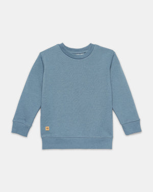 Kids Organic Cotton Fleece Sweatshirt